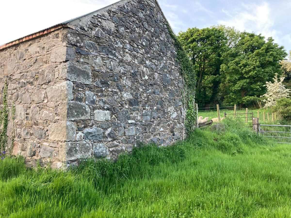فيلا Hillhead Country Retreat كاستلوالين المظهر الخارجي الصورة